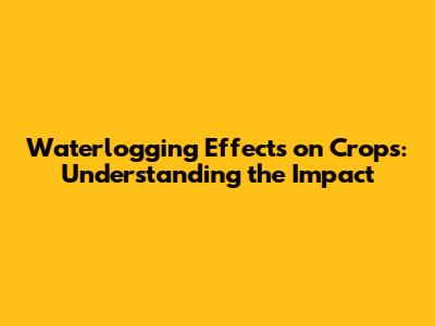 Waterlogging Effects on Crops: Understanding the Impact