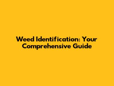 Weed Identification: Your Comprehensive Guide