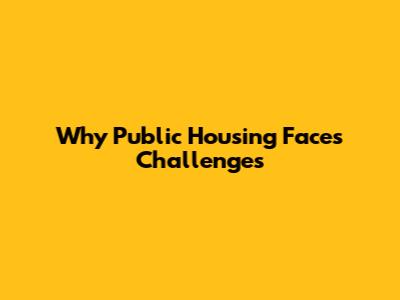 Why Public Housing Faces Challenges