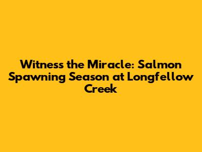 Witness the Miracle: Salmon Spawning Season at Longfellow Creek