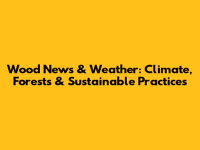 Wood News & Weather: Climate, Forests & Sustainable Practices