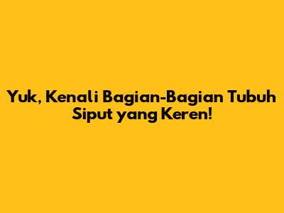 Yuk, Kenali Bagian-Bagian Tubuh Siput yang Keren!
